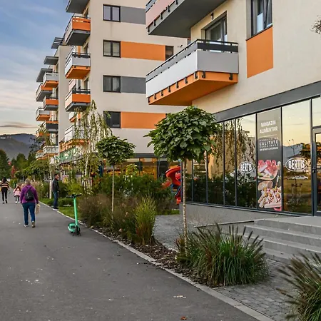 Koa - Sequoia Brasov